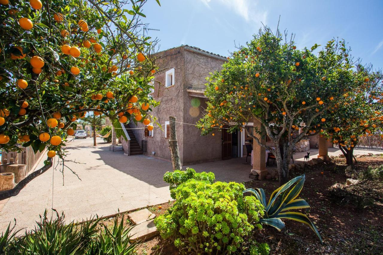 Villa Sa Volta Nova Porreres Exterior foto